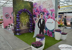 Nog een leuk concept is; Purple Wedding.